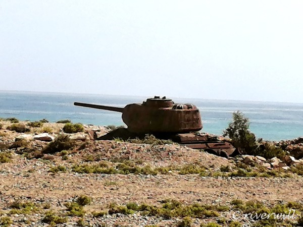 ソコトラ島 Socotra island, Yemen