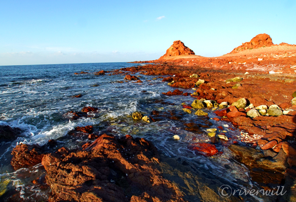 ディハムリ海洋自然保護区（ソコトラ島）Dihamri Marine Protected Area, Socotra island, Yemen