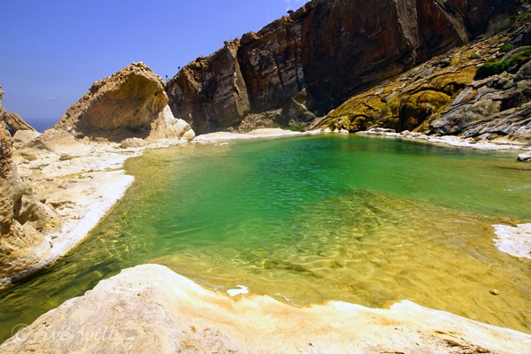 ホムヒル・プール（ソコトラ島）Homhil Pool, Socotra island, Yemen